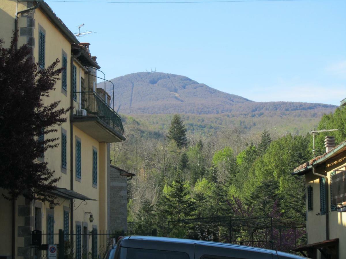 Casa Giuly Apartment Vivo dʼOrcia Екстериор снимка